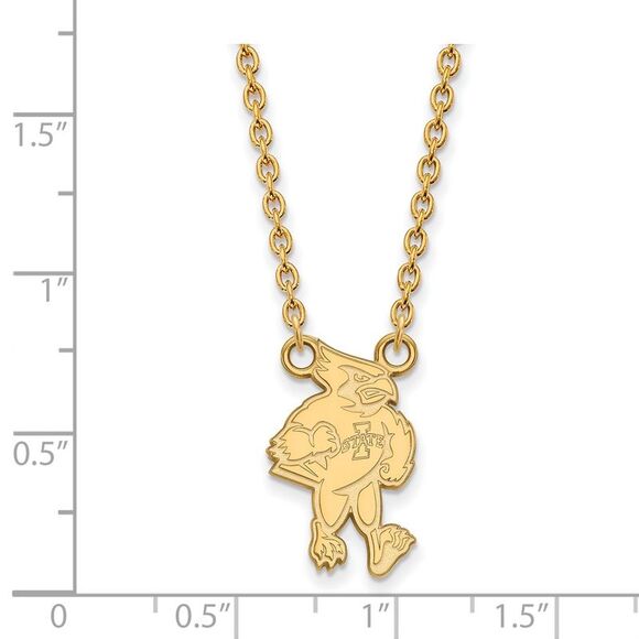 14k Gold Plated Silver Iowa State Large Pendant Necklace - Picture 2 of 4